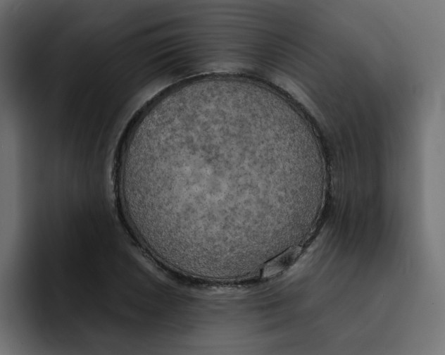 X0000092051026200710031039