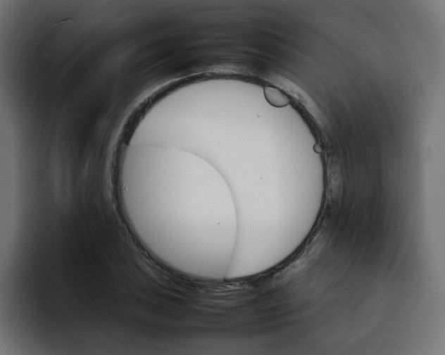 X0000092051027200710031039