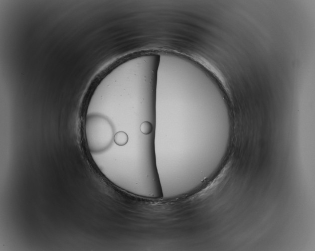 X0000092051029200710031039