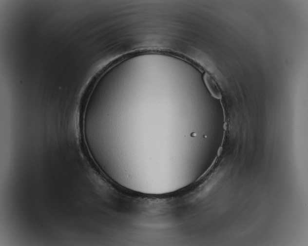 X0000092051030200710031039