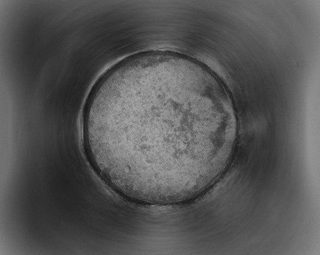 X0000092051032200710031039