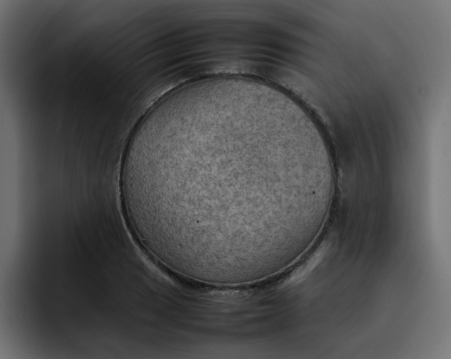 X0000092051033200710031039