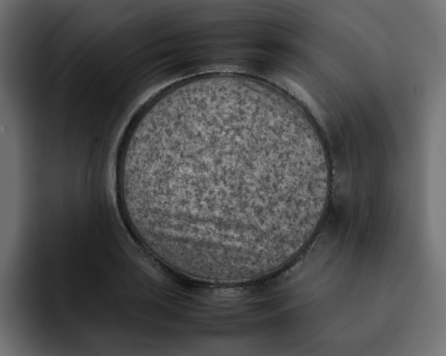 X0000092051035200710031039