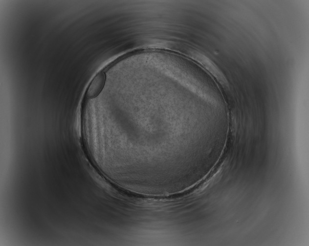 X0000092051036200710031039