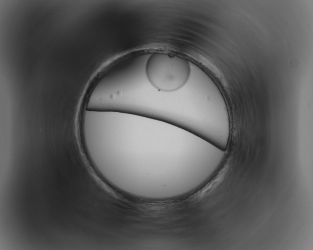 X0000092051037200710031039