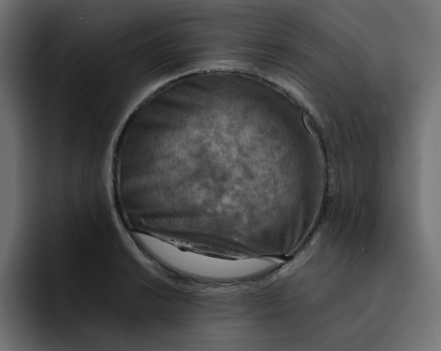 X0000092051038200710031039