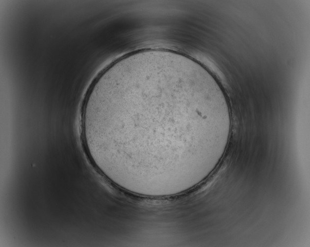 X0000092051040200710031039