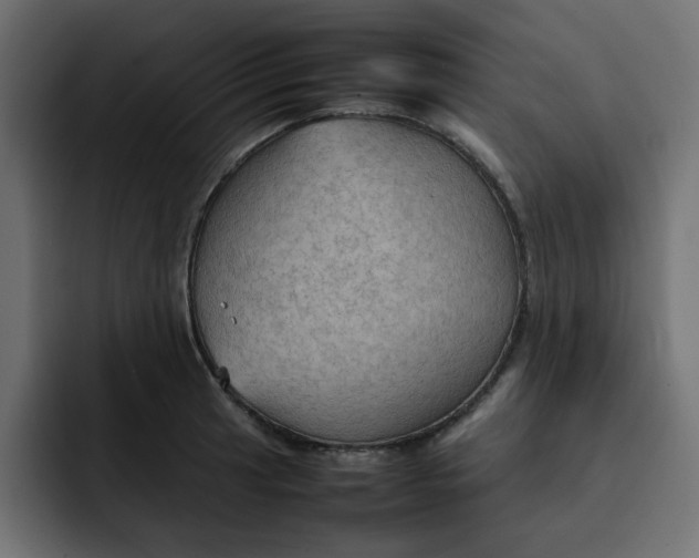 X0000092051041200710031039