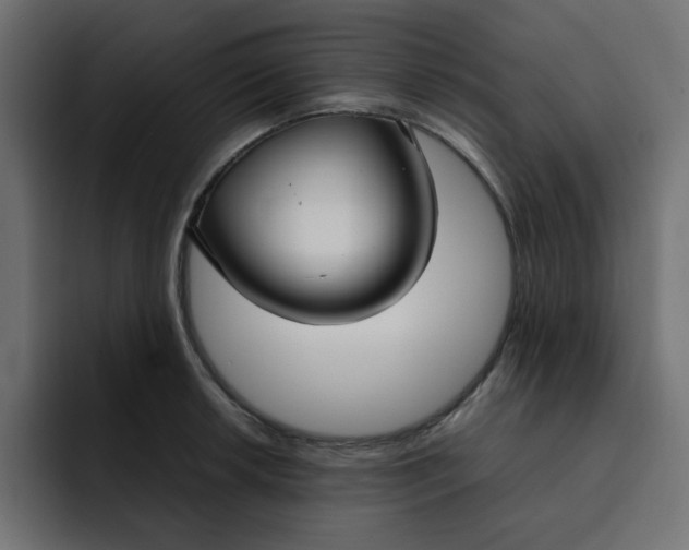 X0000092051042200710031039