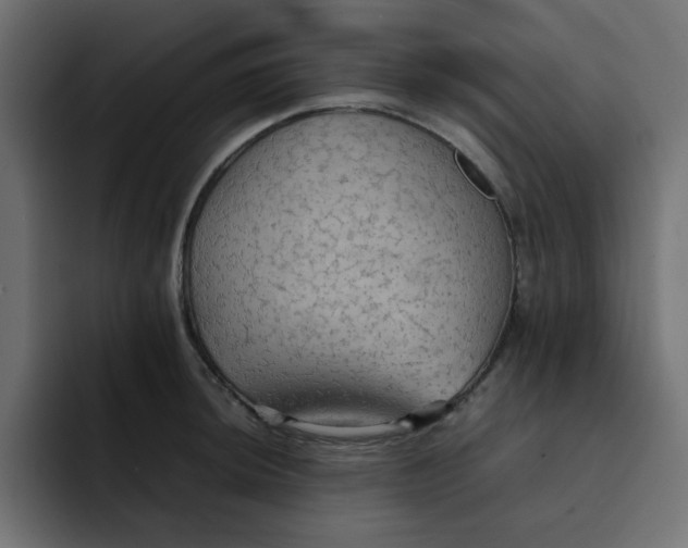 X0000092051044200710031039