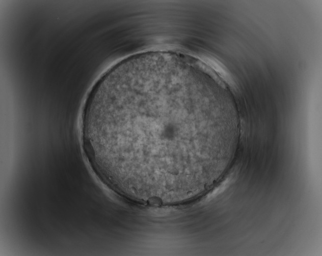 X0000092051046200710031039