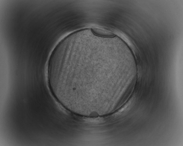 X0000092051048200710031039