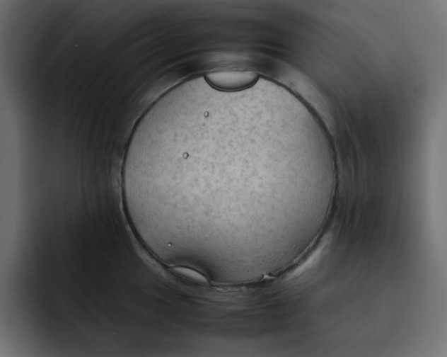 X0000092051049200710031039