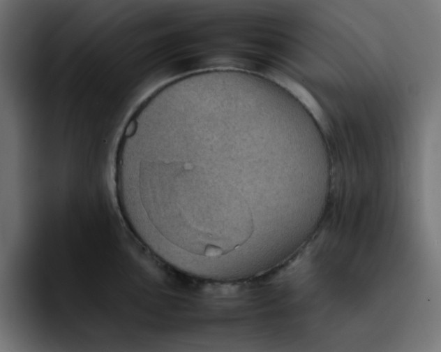 X0000092051051200710031039