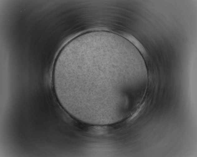 X0000092051052200710031039