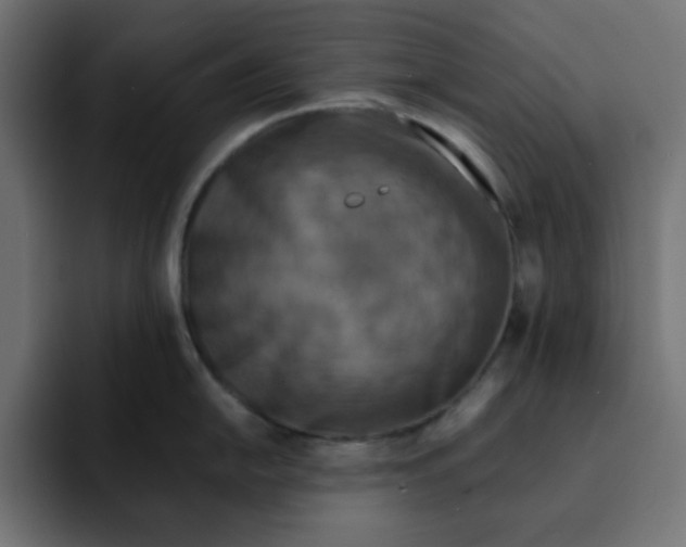 X0000092051054200710031039