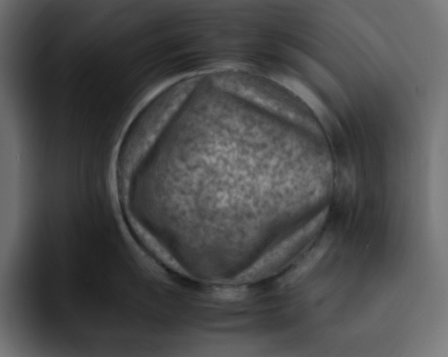 X0000092051055200710031039