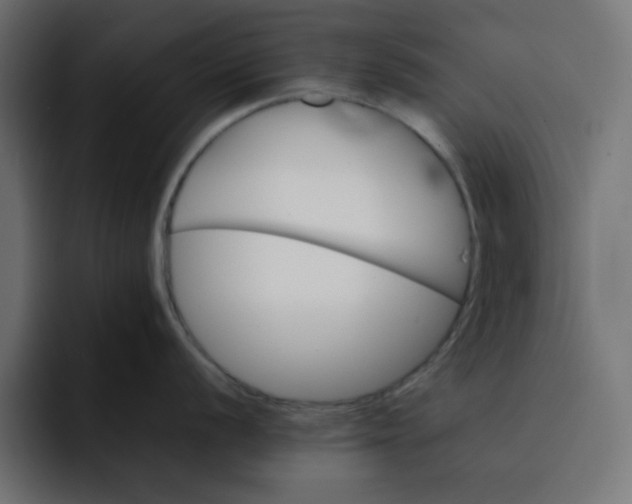 X0000092051056200710031039