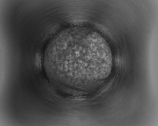 X0000092051060200710031038