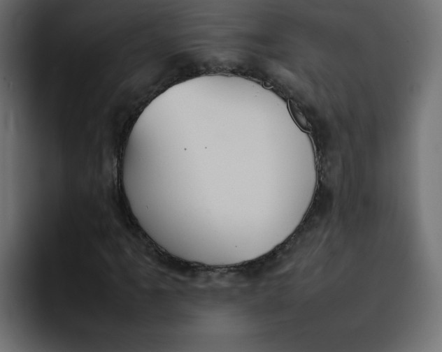 X0000092051061200710031038