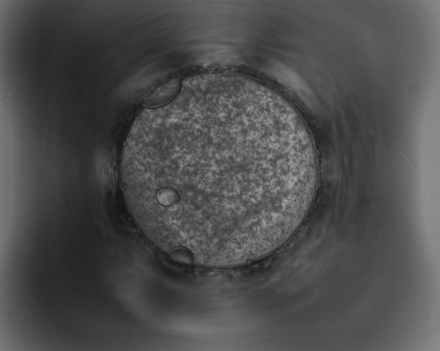 X0000092051063200710031038