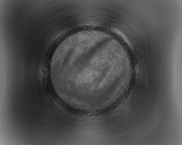 X0000092051064200710031038