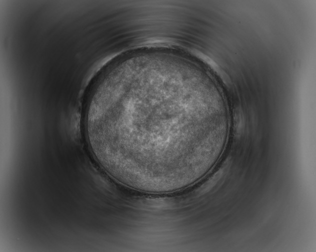 X0000092051066200710031038