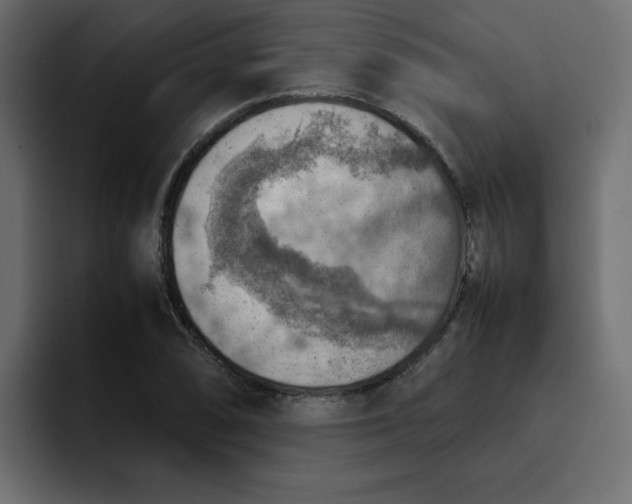 X0000092051074200710031038