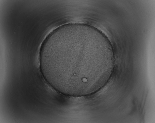 X0000092051075200710031038