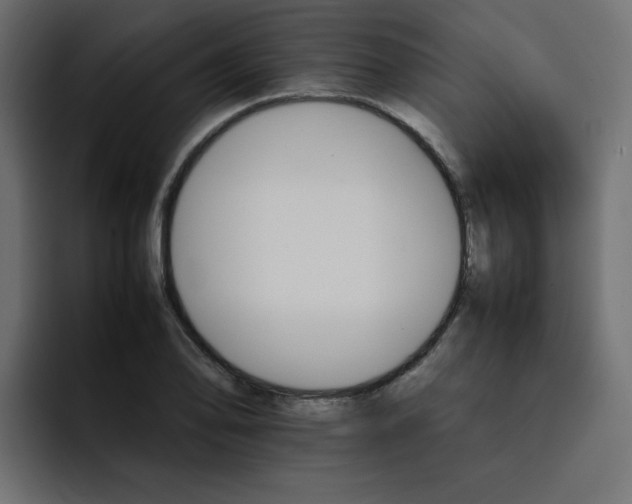 X0000092051078200710031038