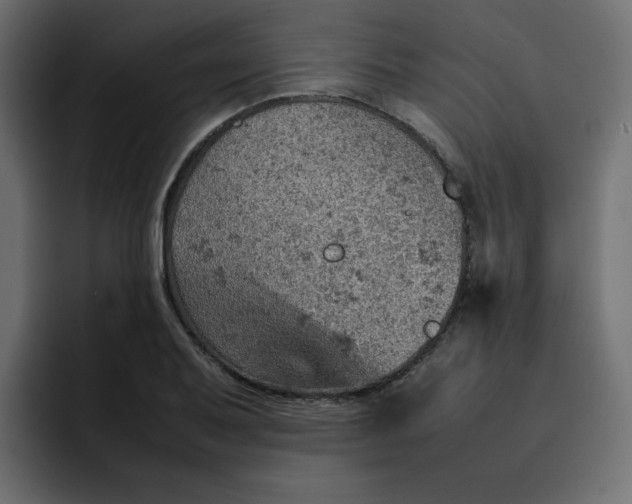 X0000092051079200710031038