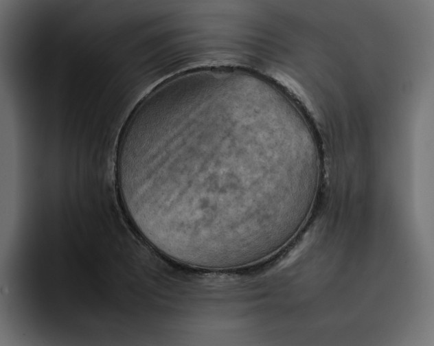 X0000092051081200710031038