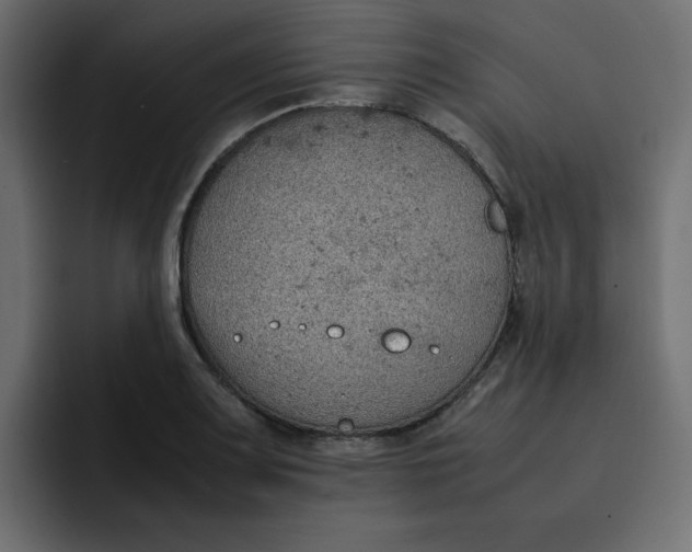 X0000092051083200710031038