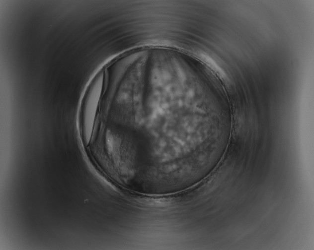 X0000092051084200710031038