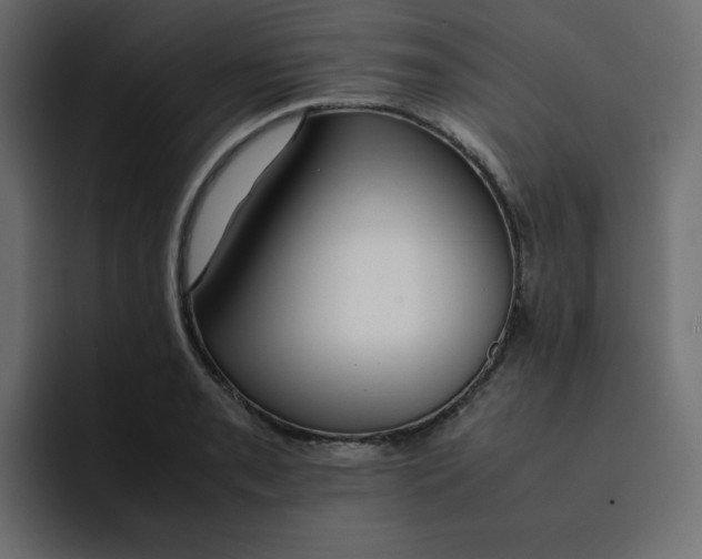 X0000092051085200710031038