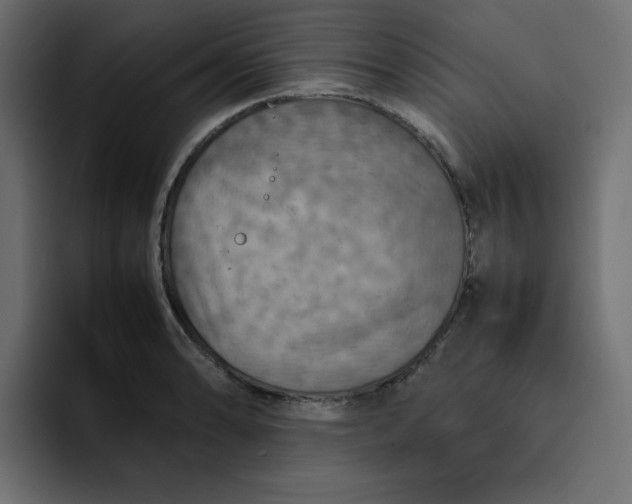 X0000092051086200710031038