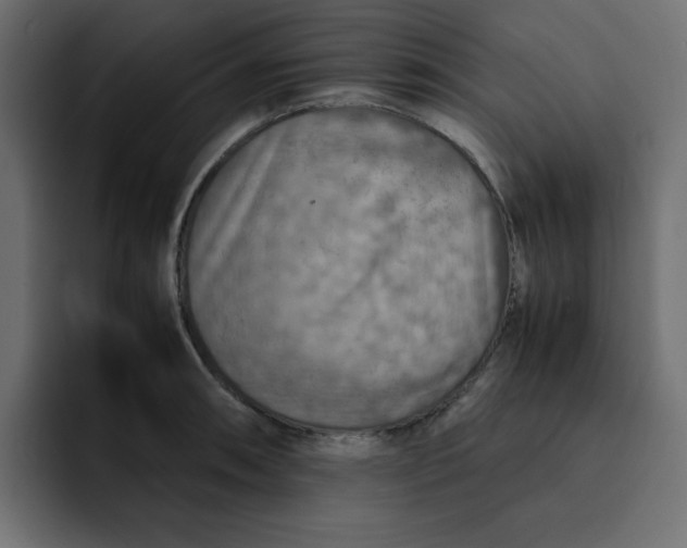 X0000092051090200710031038