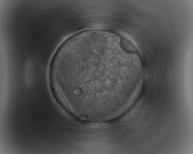 X0000092051091200710031038