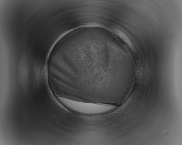 X0000092051092200710031038