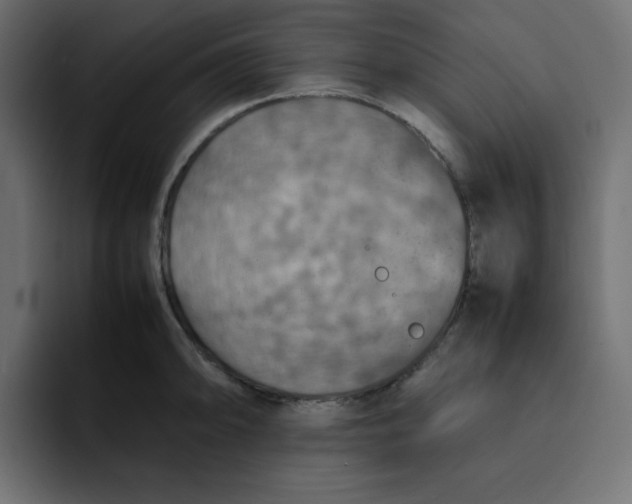 X0000092051094200710031038