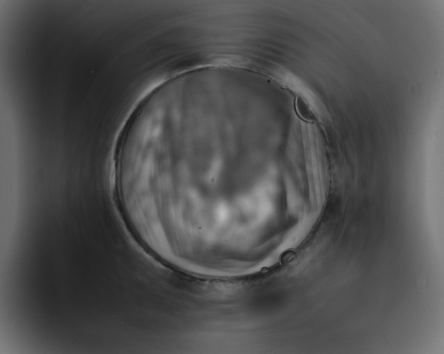 X0000092051095200710031038