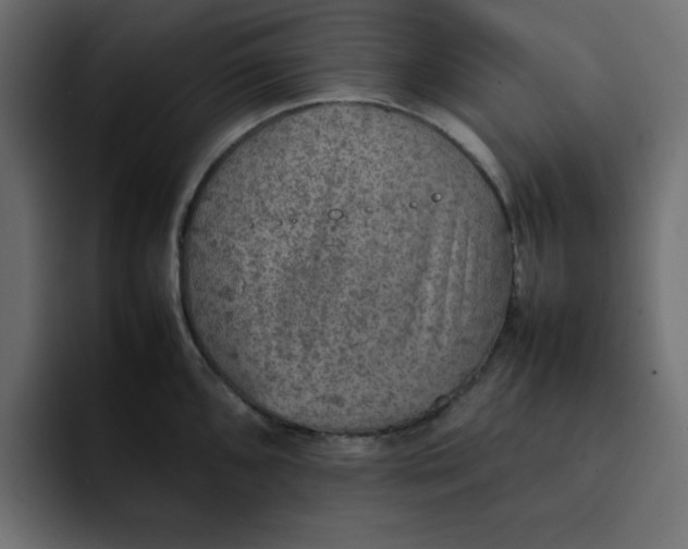 X0000092051096200710031038