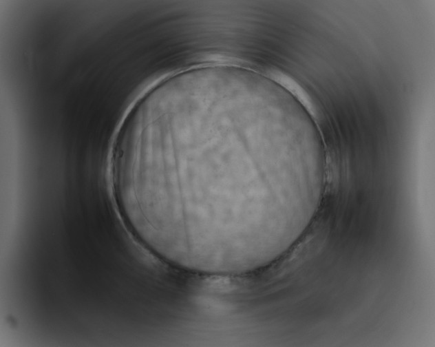 X0000092051098200710031038