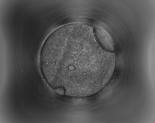 X0000092051099200710031038