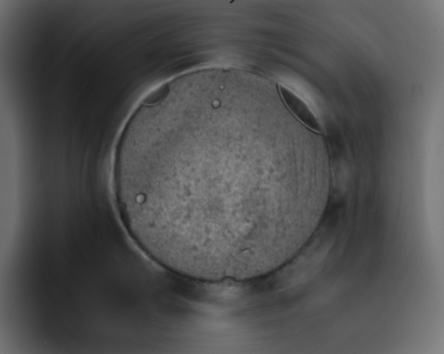 X0000092051103200710031038