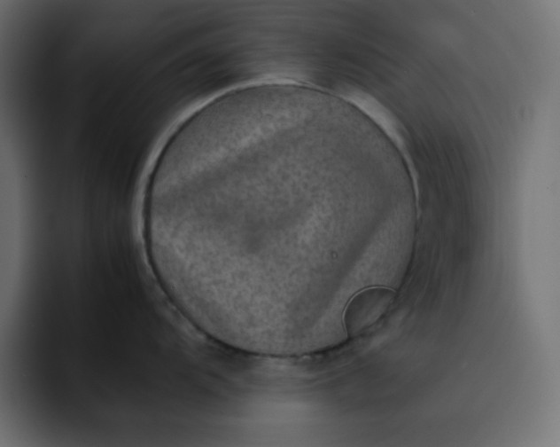 X0000092051104200710031038