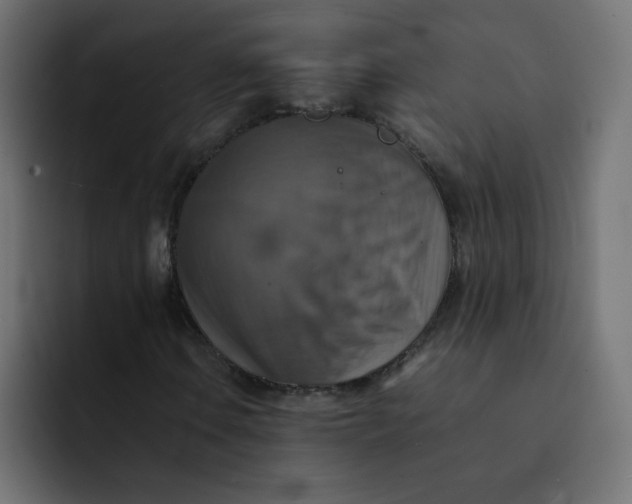 X0000092051106200710031037