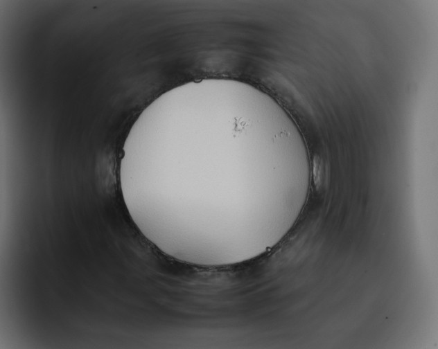 X0000092051107200710031037