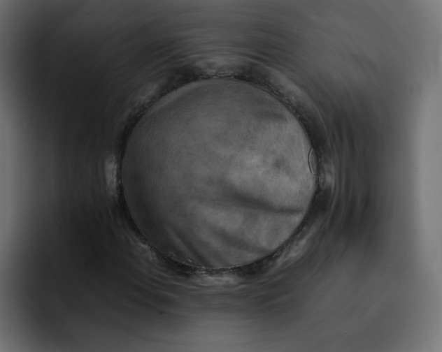 X0000092051108200710031037