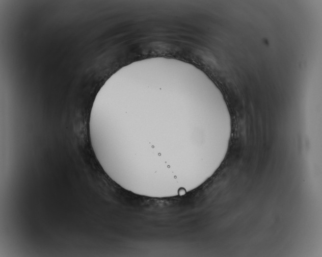 X0000092051109200710031037